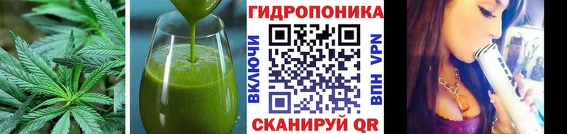 Canna-Cookies марихуана  Купить  Аша 