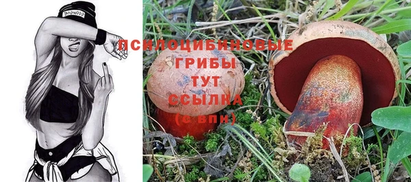 сатива Беломорск