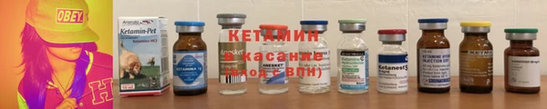 сатива Беломорск
