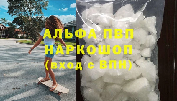 сатива Беломорск