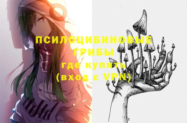 таблы Белокуриха