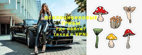 таблы Белокуриха