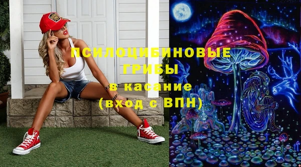 таблы Белокуриха