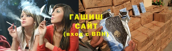 сатива Беломорск