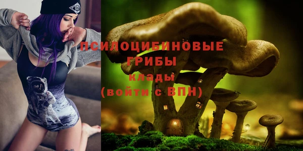 сатива Беломорск